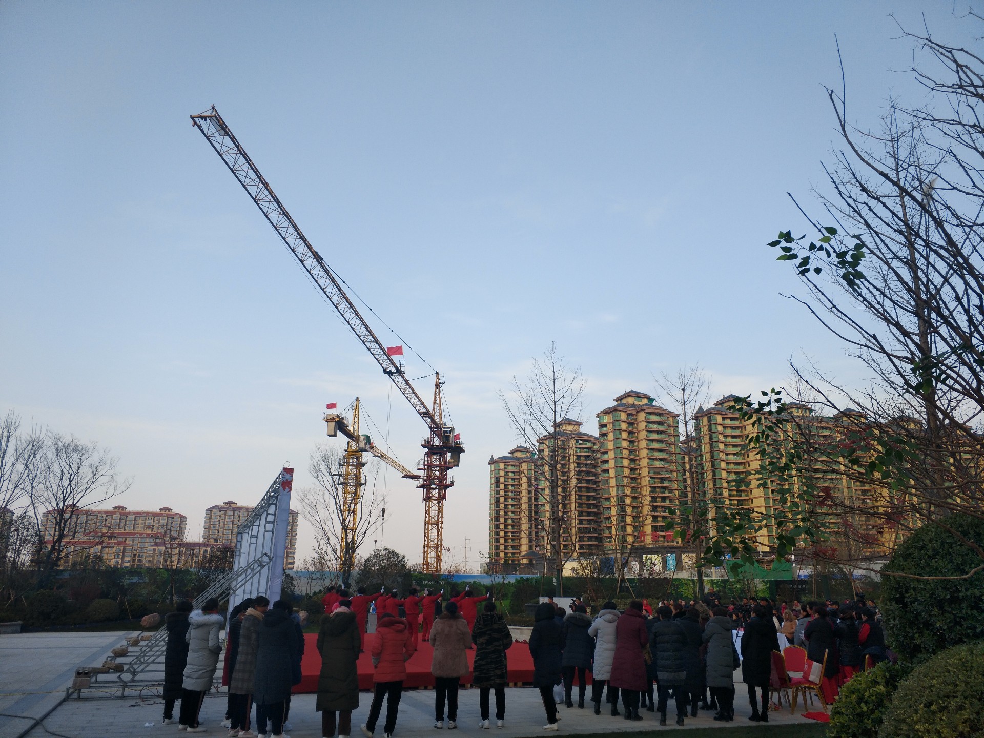 容湖壹號塔式起重機